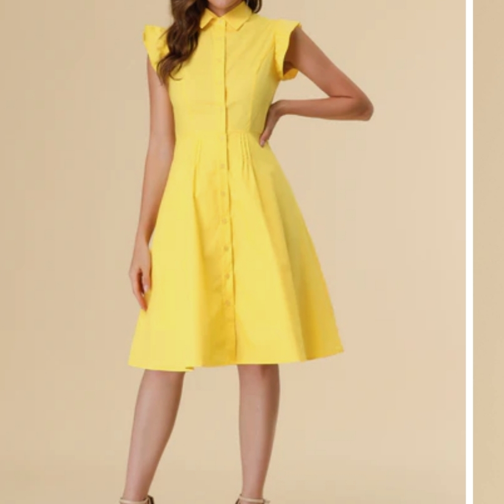 Ruffled Sleeve Dress